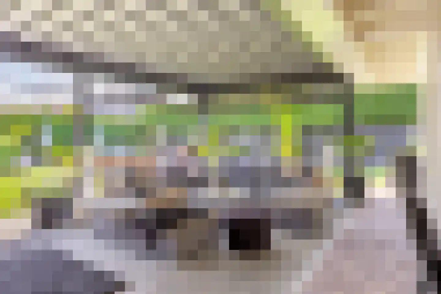 Noorderkeerkring 4 Klazienaveen thumbnail 43