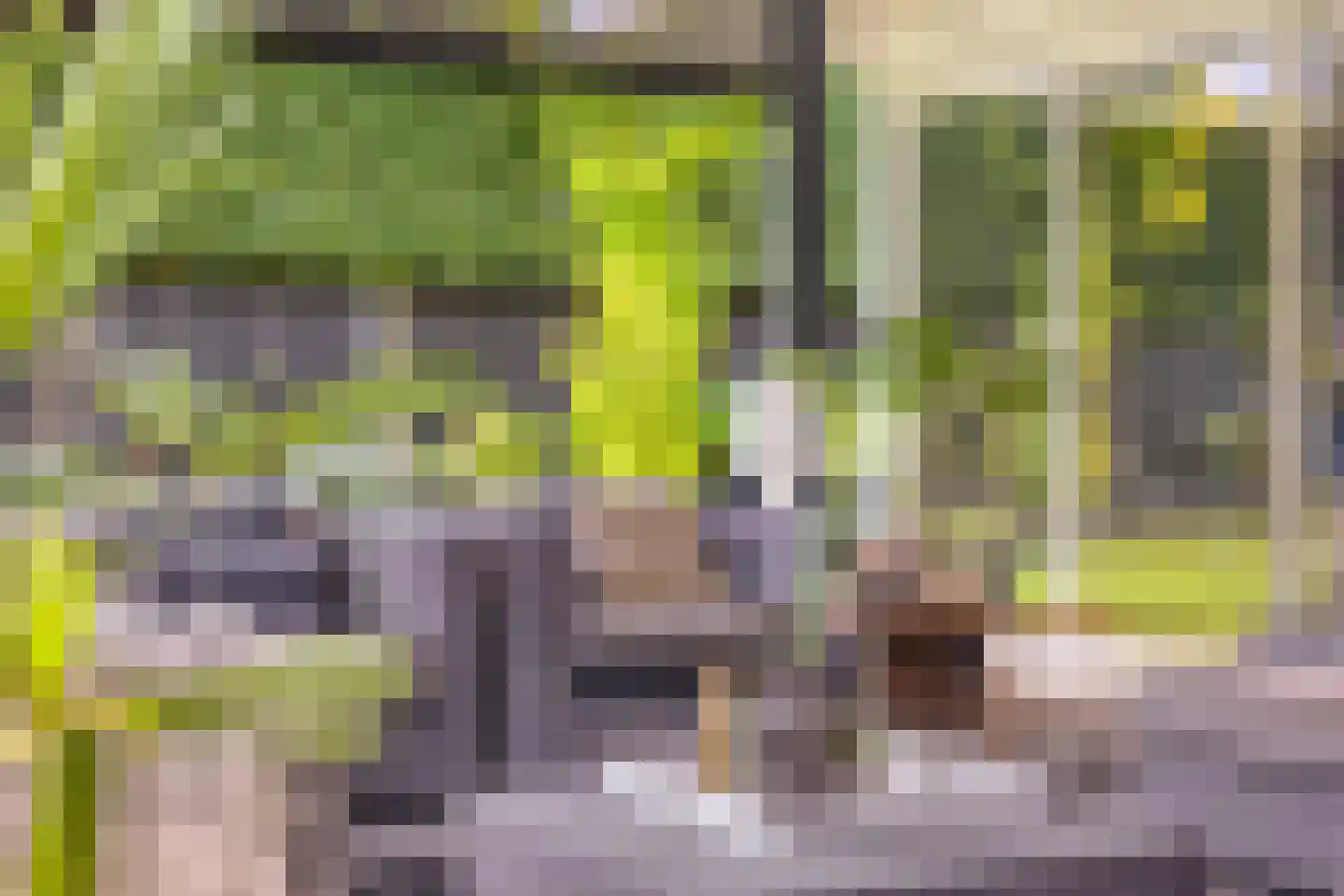 Noorderkeerkring 4 Klazienaveen thumbnail 46