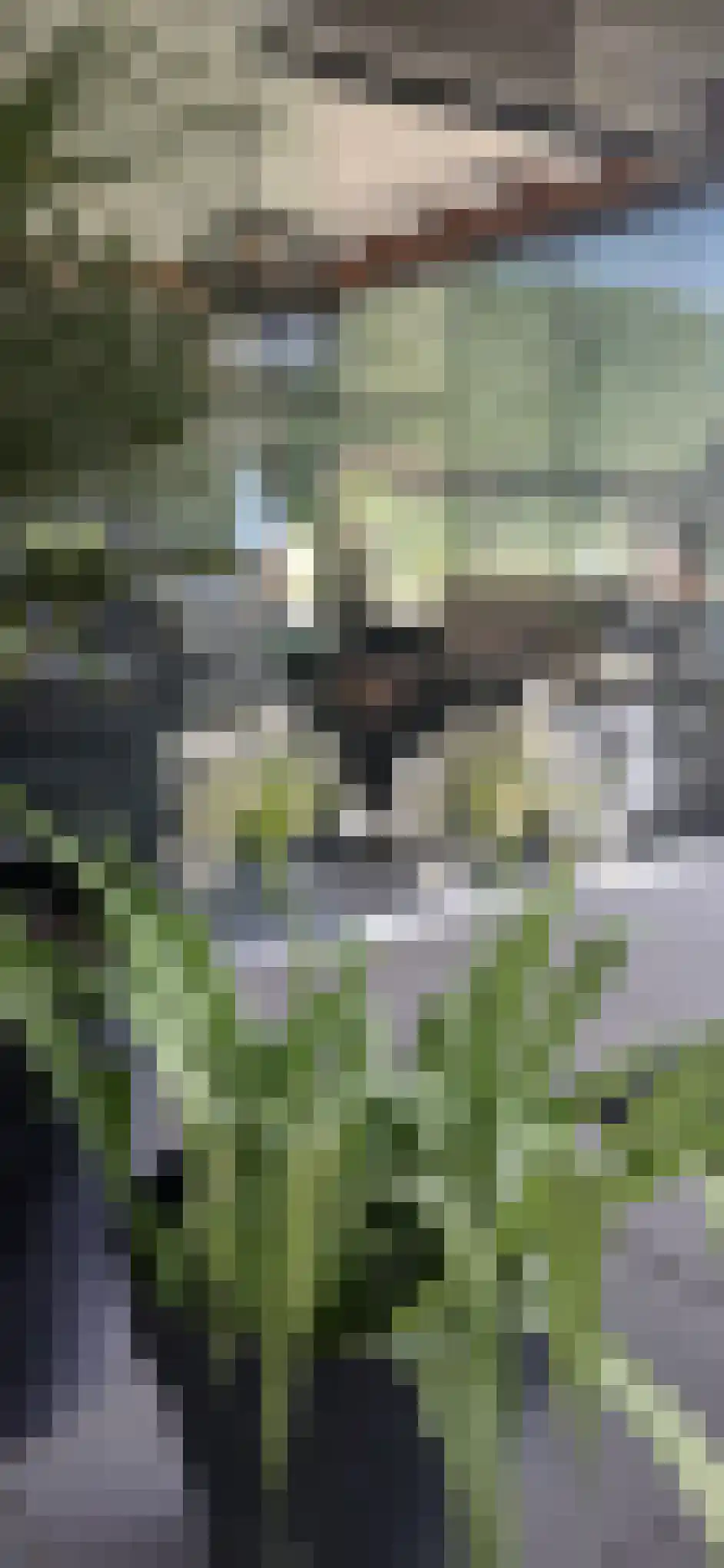 Noorderkeerkring 4 Klazienaveen thumbnail 51