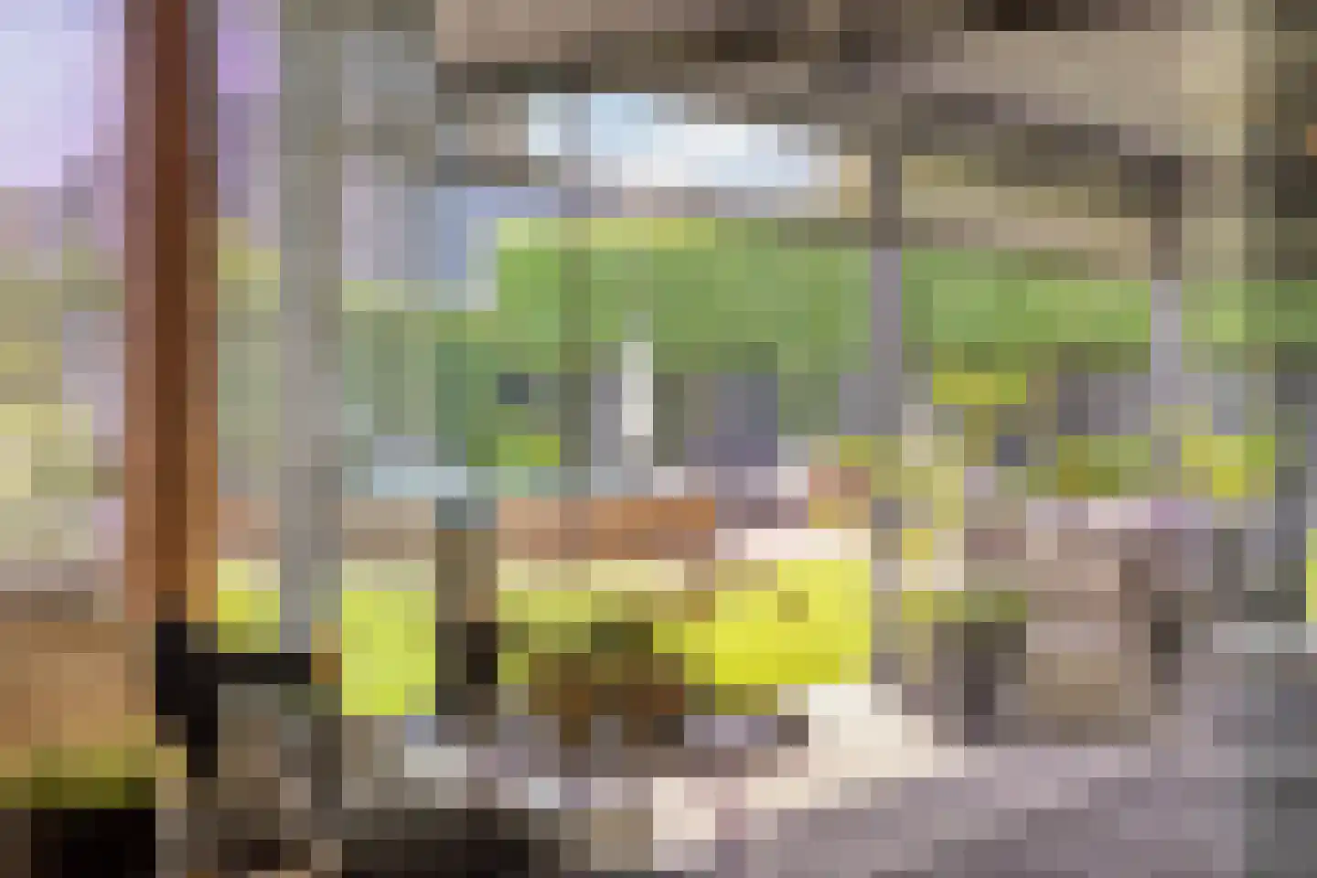 Noorderkeerkring 4 Klazienaveen thumbnail 52
