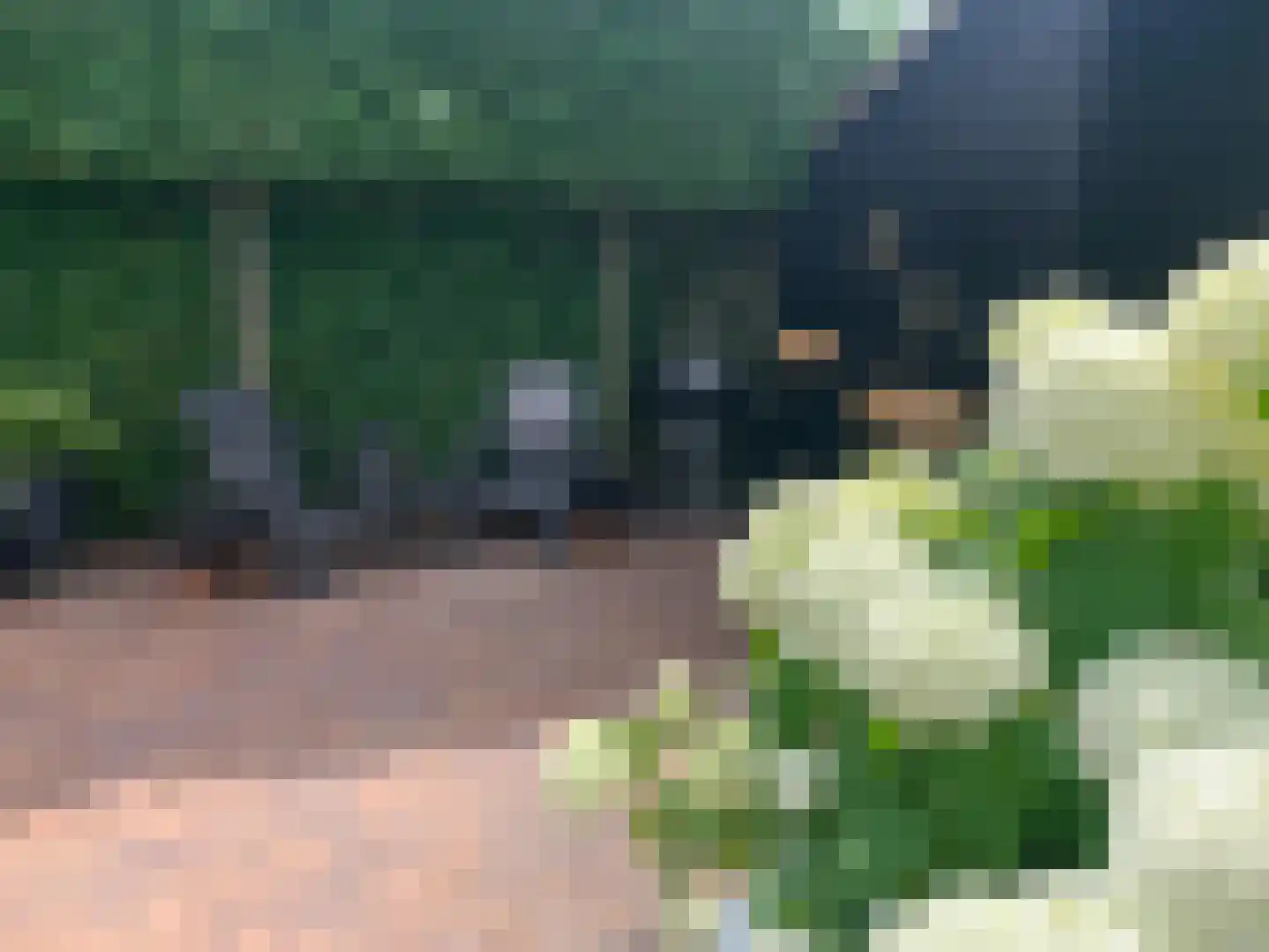Noorderkeerkring 4 Klazienaveen thumbnail 57