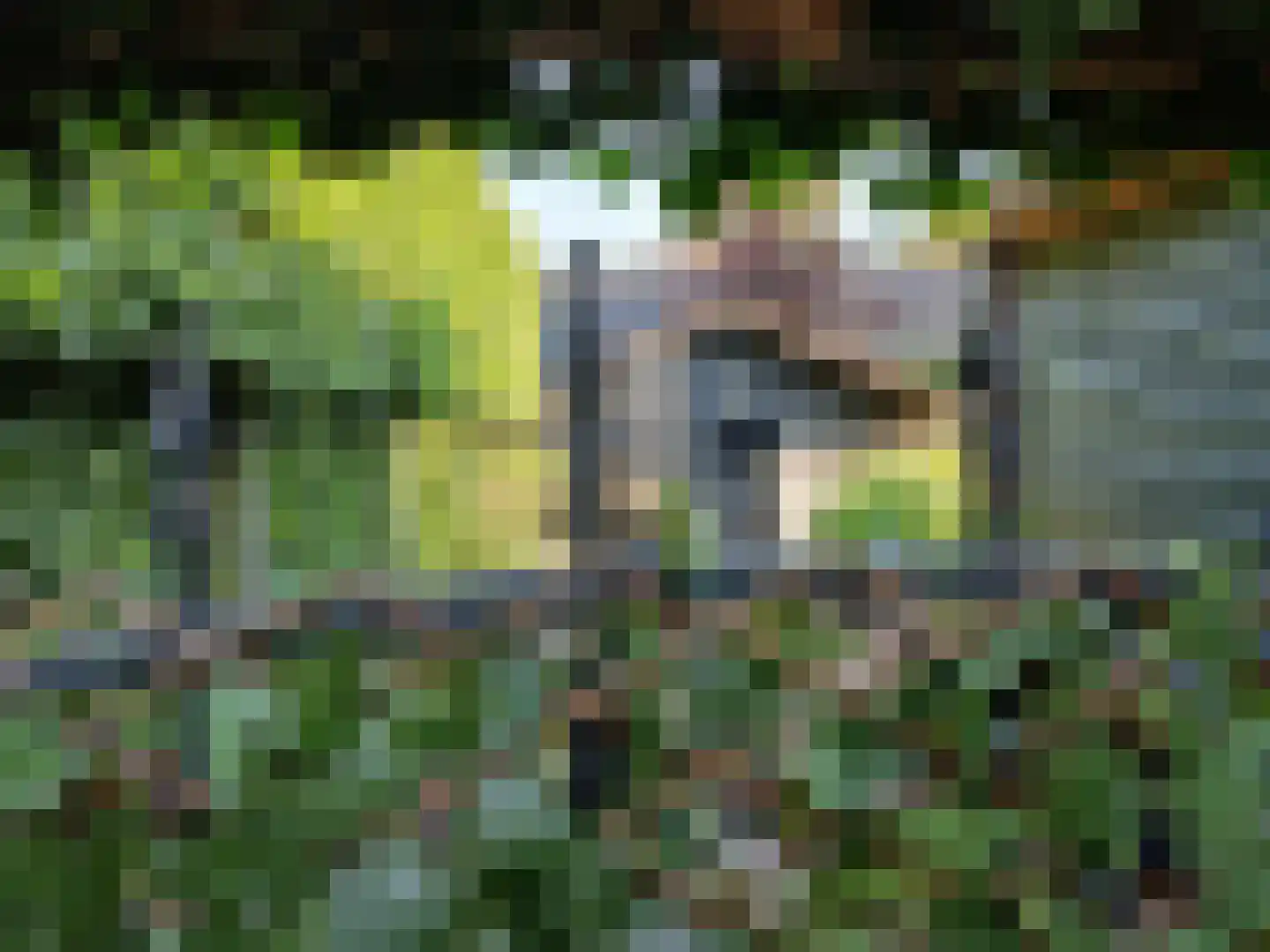 Noorderkeerkring 4 Klazienaveen thumbnail 64