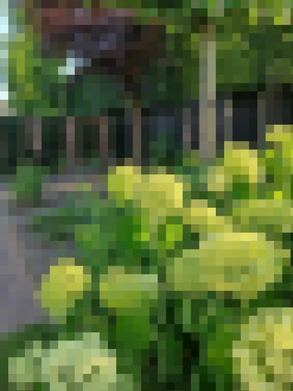 Noorderkeerkring 4 Klazienaveen thumbnail 65