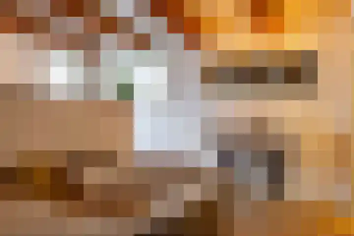 Noorderkerkstraat 3 Groningen thumbnail 15