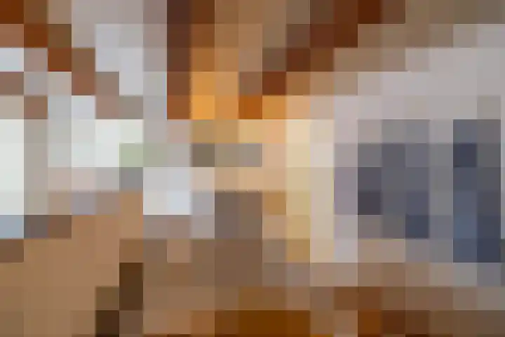 Noorderkerkstraat 3 Groningen thumbnail 18