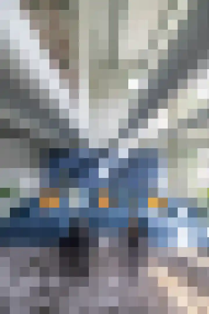 Noorderkerkstraat 3 Groningen thumbnail 25