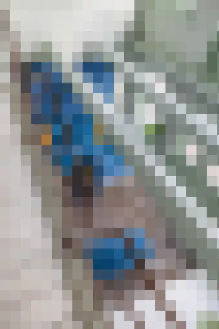 Noorderkerkstraat 3 Groningen thumbnail 37