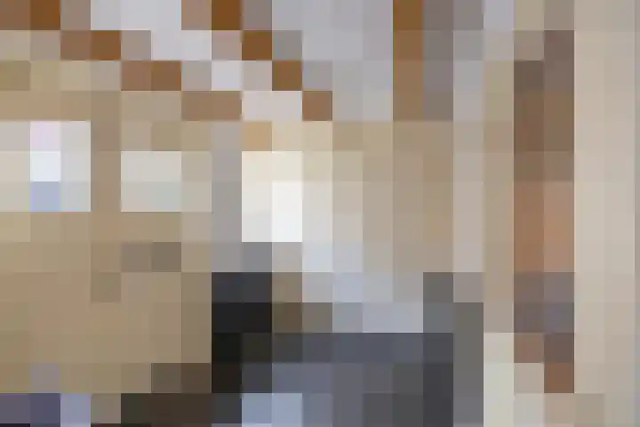 Noorderkerkstraat 3 Groningen thumbnail 4