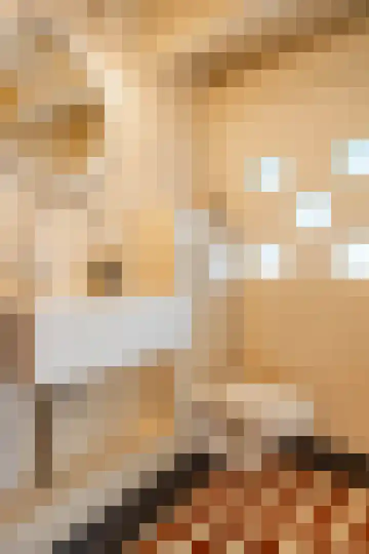 Noorderkerkstraat 3 Groningen thumbnail 42