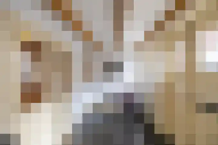 Noorderkerkstraat 3 Groningen thumbnail 5