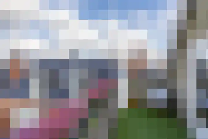 Noorderkerkstraat 3 Groningen thumbnail 53