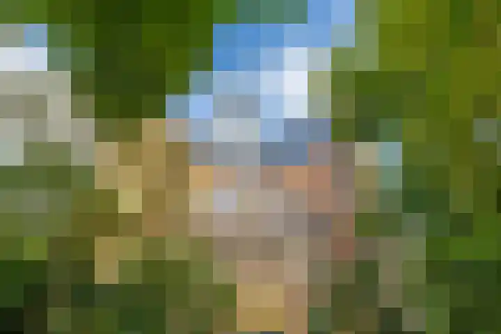 Noorderkerkstraat 3 Groningen thumbnail 58