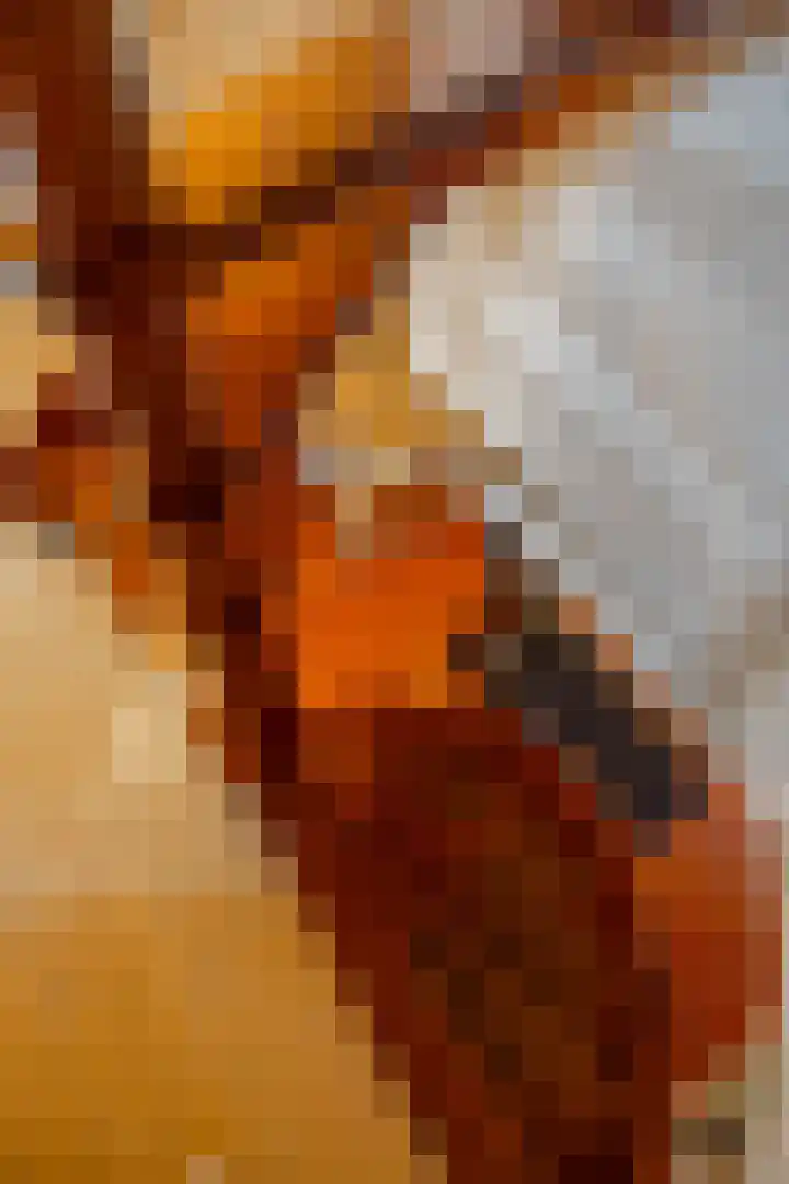 Noorderkerkstraat 3 Groningen thumbnail 9