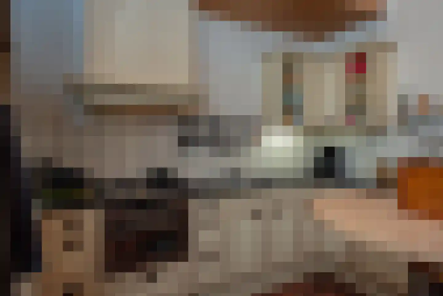 Noorderkerkstraat 5 Elburg thumbnail 18