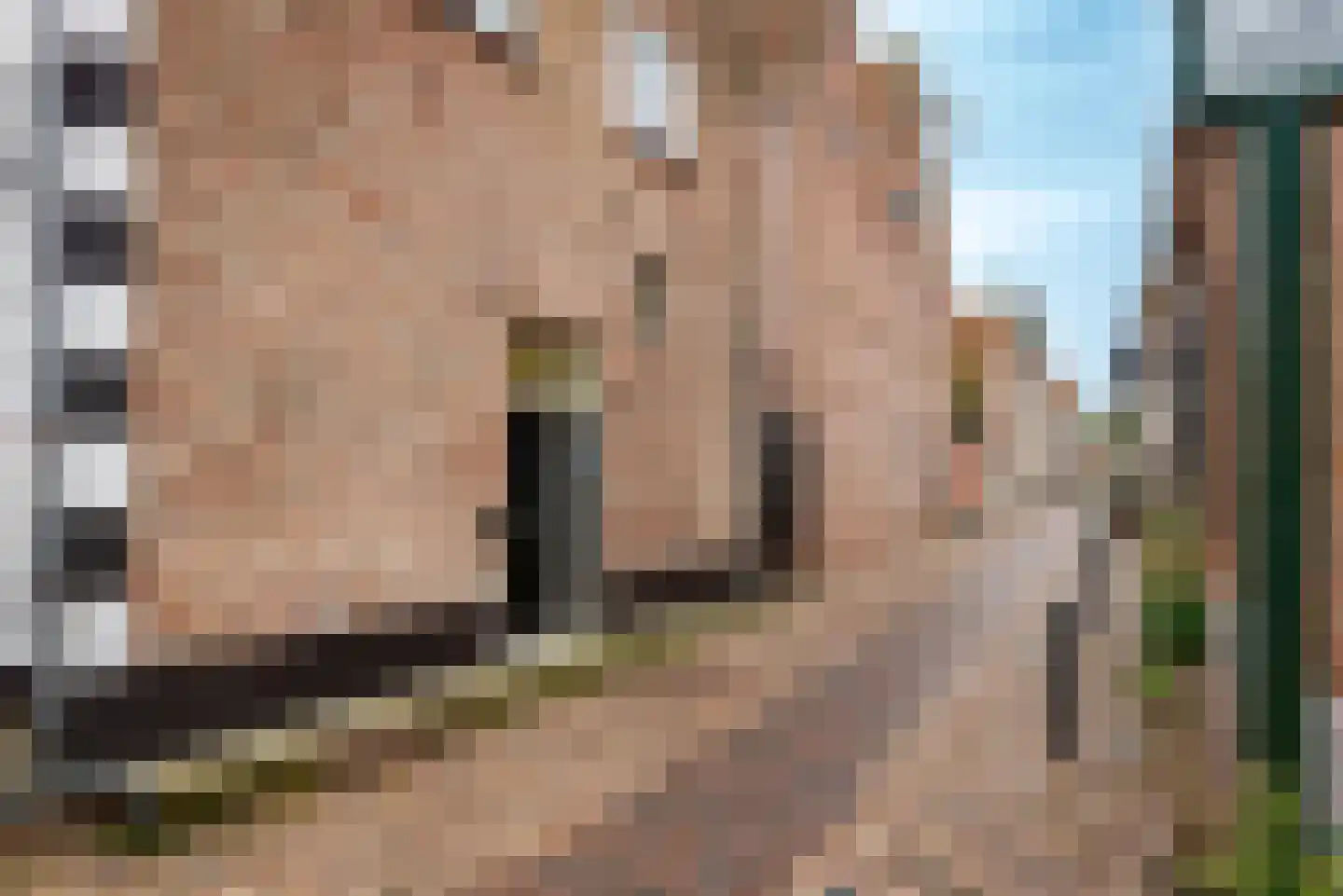Noorderkerkstraat 5 Elburg thumbnail 40