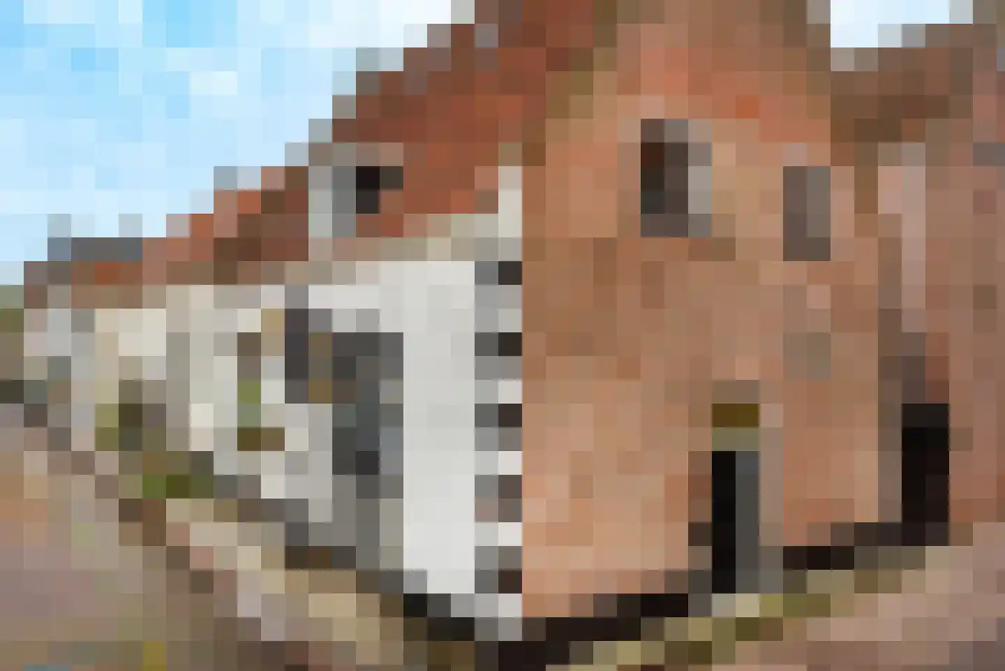Noorderkerkstraat 5 Elburg thumbnail 6