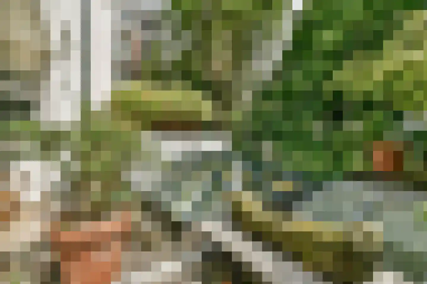Noorderkerkstraat 7 H Amsterdam thumbnail 26