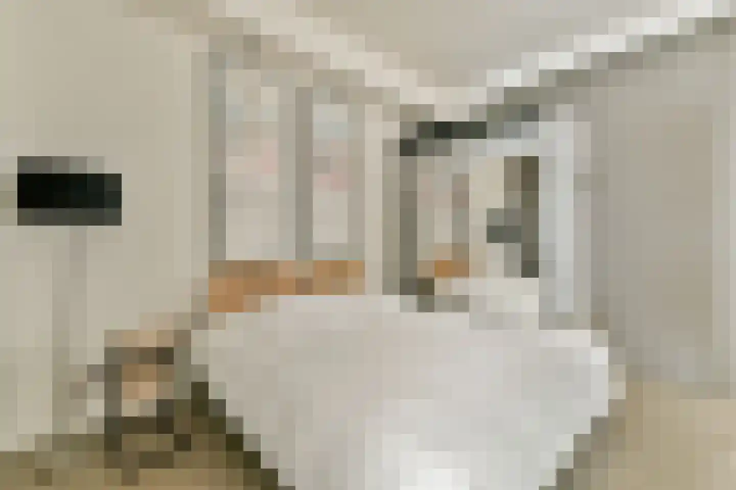 Noorderkerkstraat 7 H Amsterdam thumbnail 4