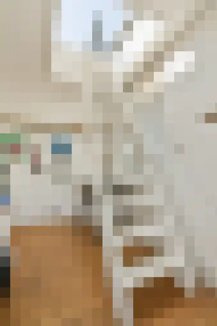 Noorderkerkstraat 8 E Amsterdam thumbnail 26