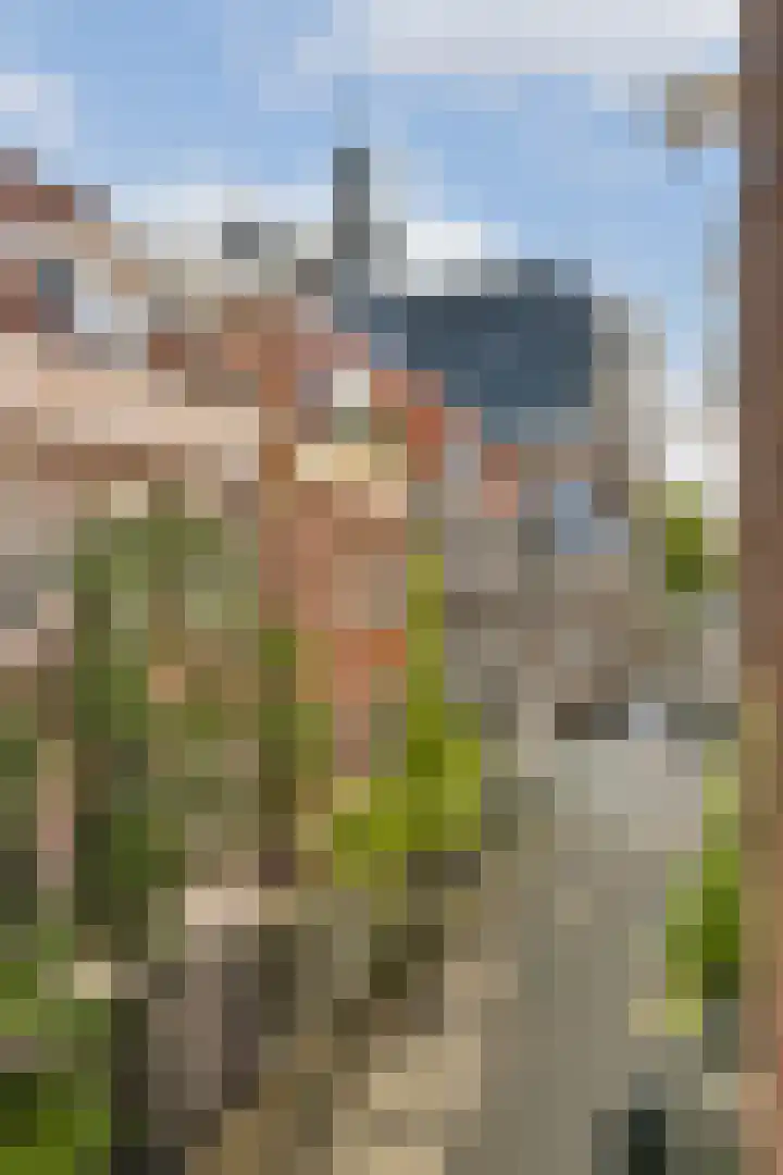 Noorderkerkstraat 8 E Amsterdam thumbnail 7