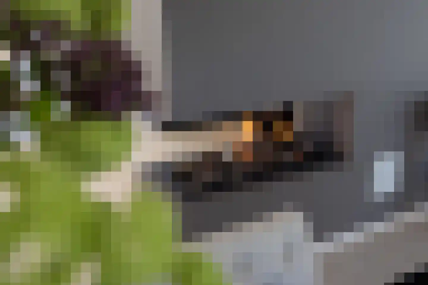Noorderklamp 23 Nuenen thumbnail 11
