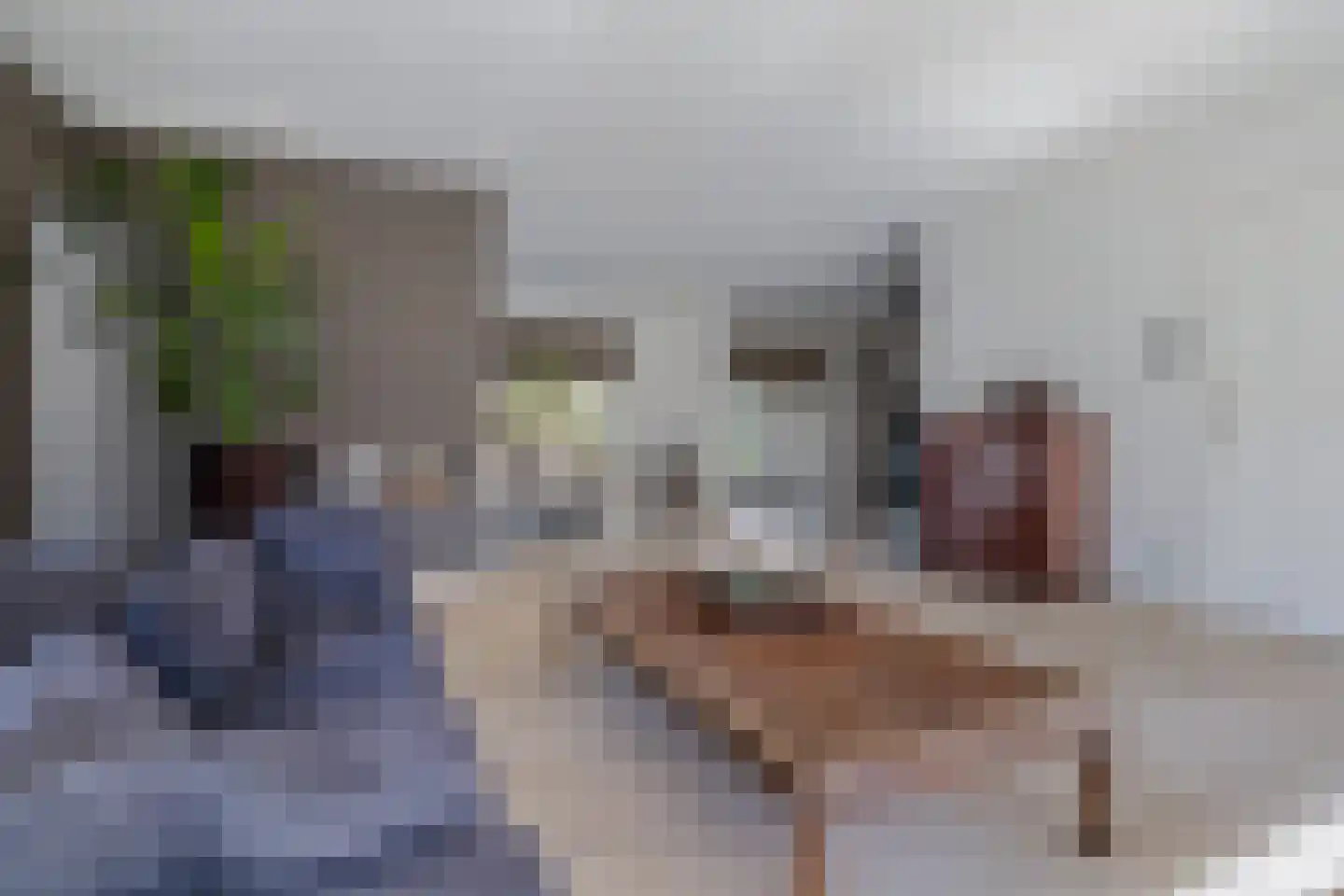 Noorderklamp 23 Nuenen thumbnail 13