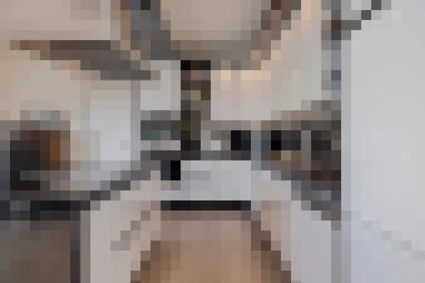 Noorderklamp 23 Nuenen thumbnail 20