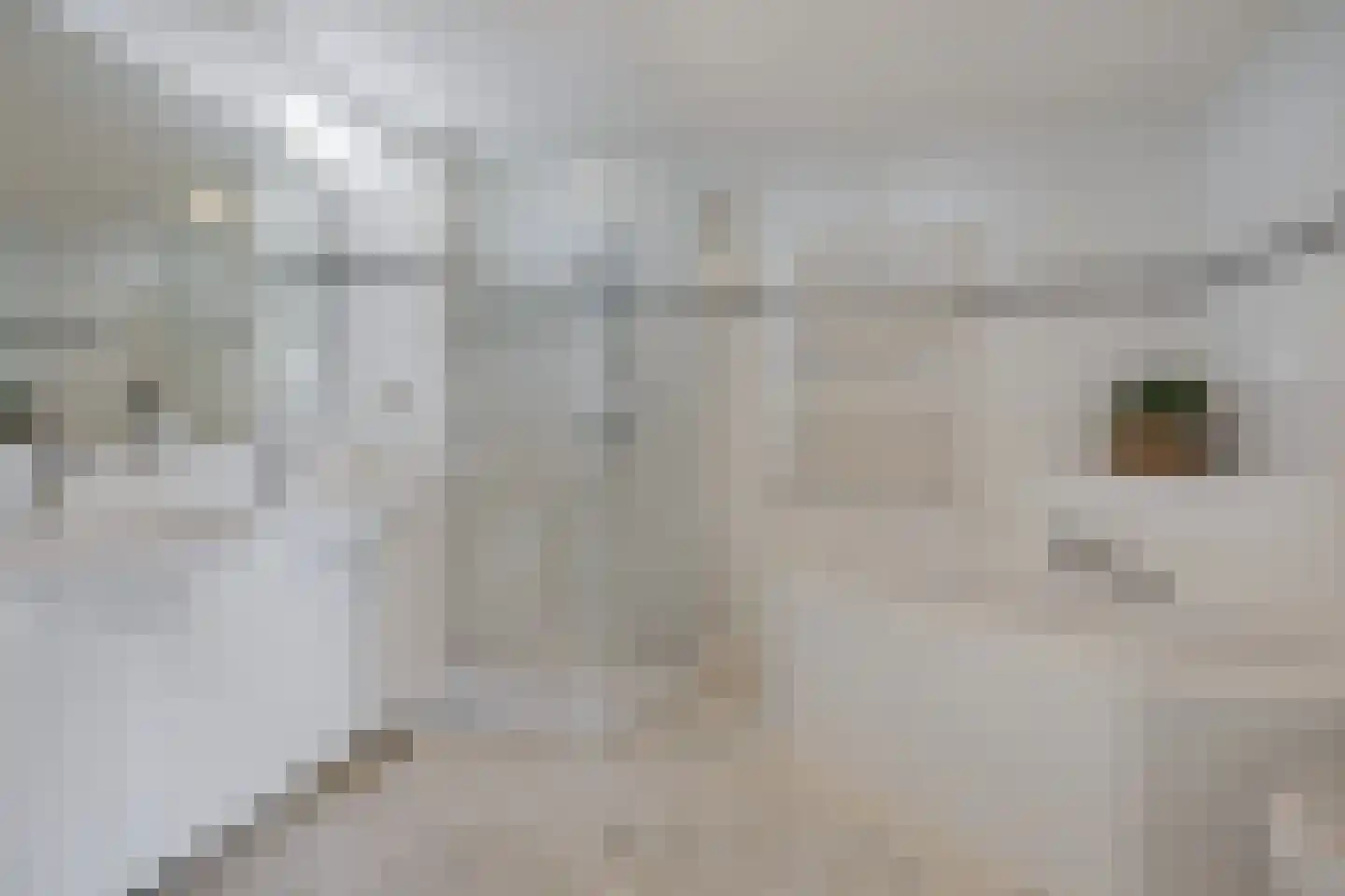 Noorderklamp 23 Nuenen thumbnail 28
