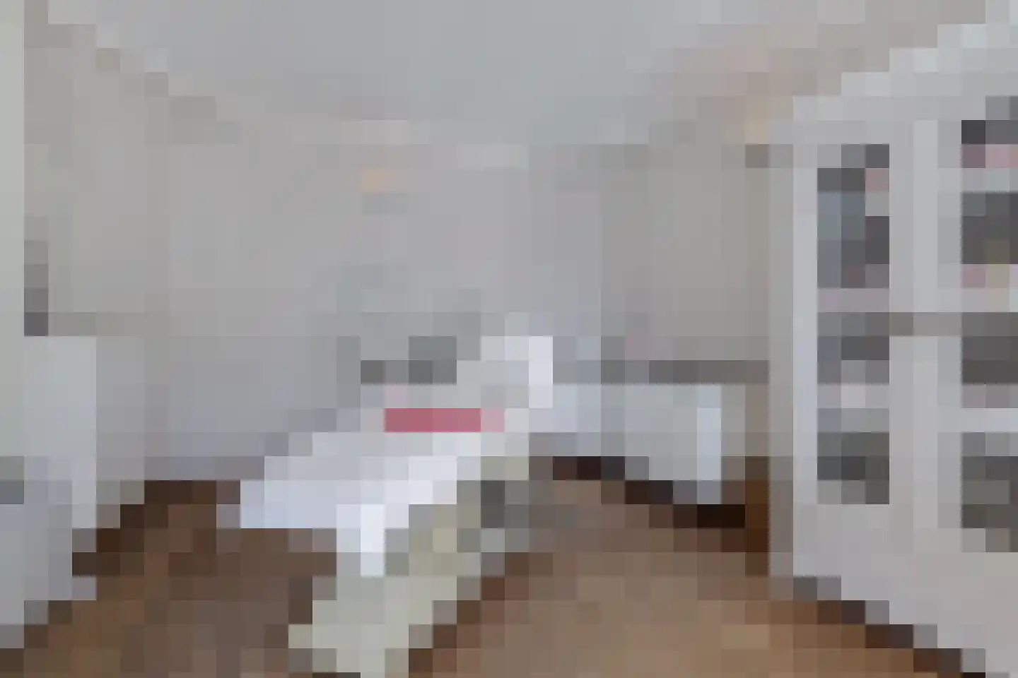 Noorderklamp 23 Nuenen thumbnail 32