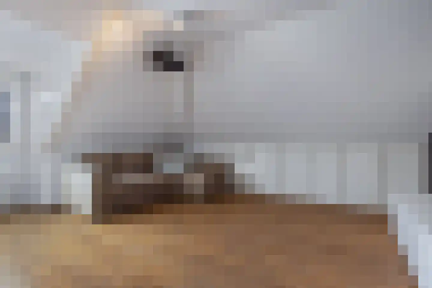 Noorderklamp 23 Nuenen thumbnail 38