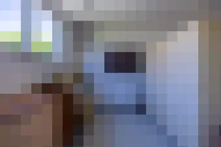 Noorderkluft 1 Niekerk thumbnail 16
