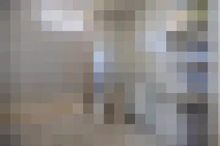 Noorderkluft 1 Niekerk thumbnail 22