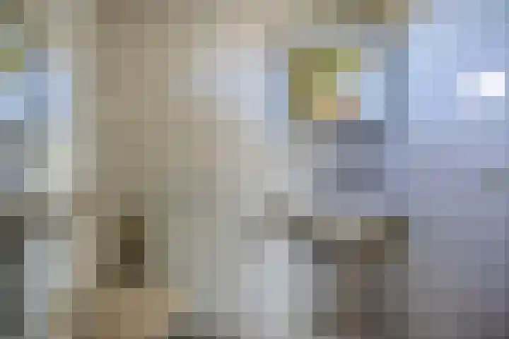 Noorderkluft 1 Niekerk thumbnail 24