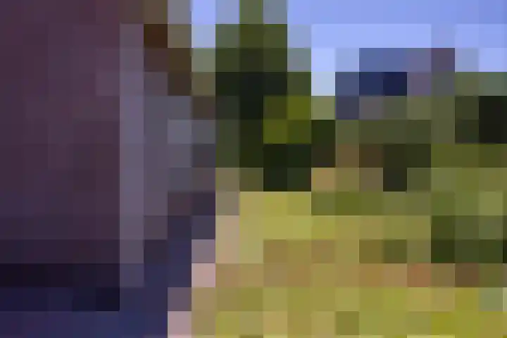 Noorderkluft 1 Niekerk thumbnail 33