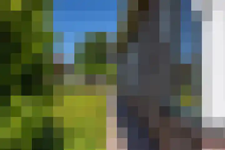 Noorderkluft 1 Niekerk thumbnail 36
