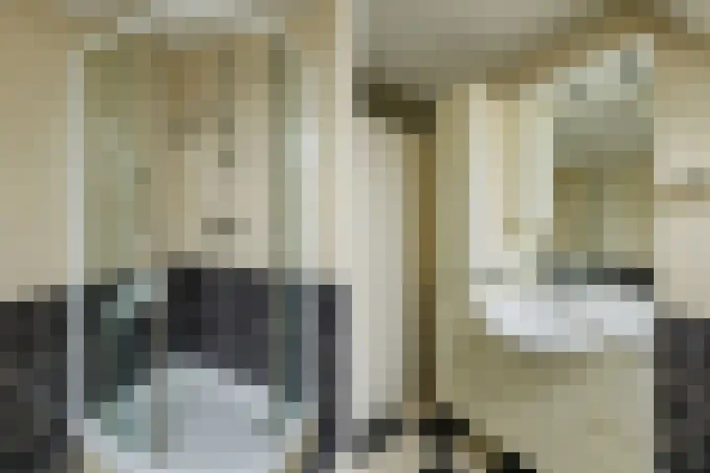 Noorderkroon 10 Lisse thumbnail 20