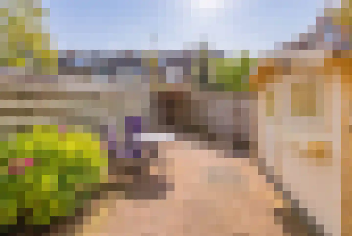 Noorderkroon 10 Lisse thumbnail 27