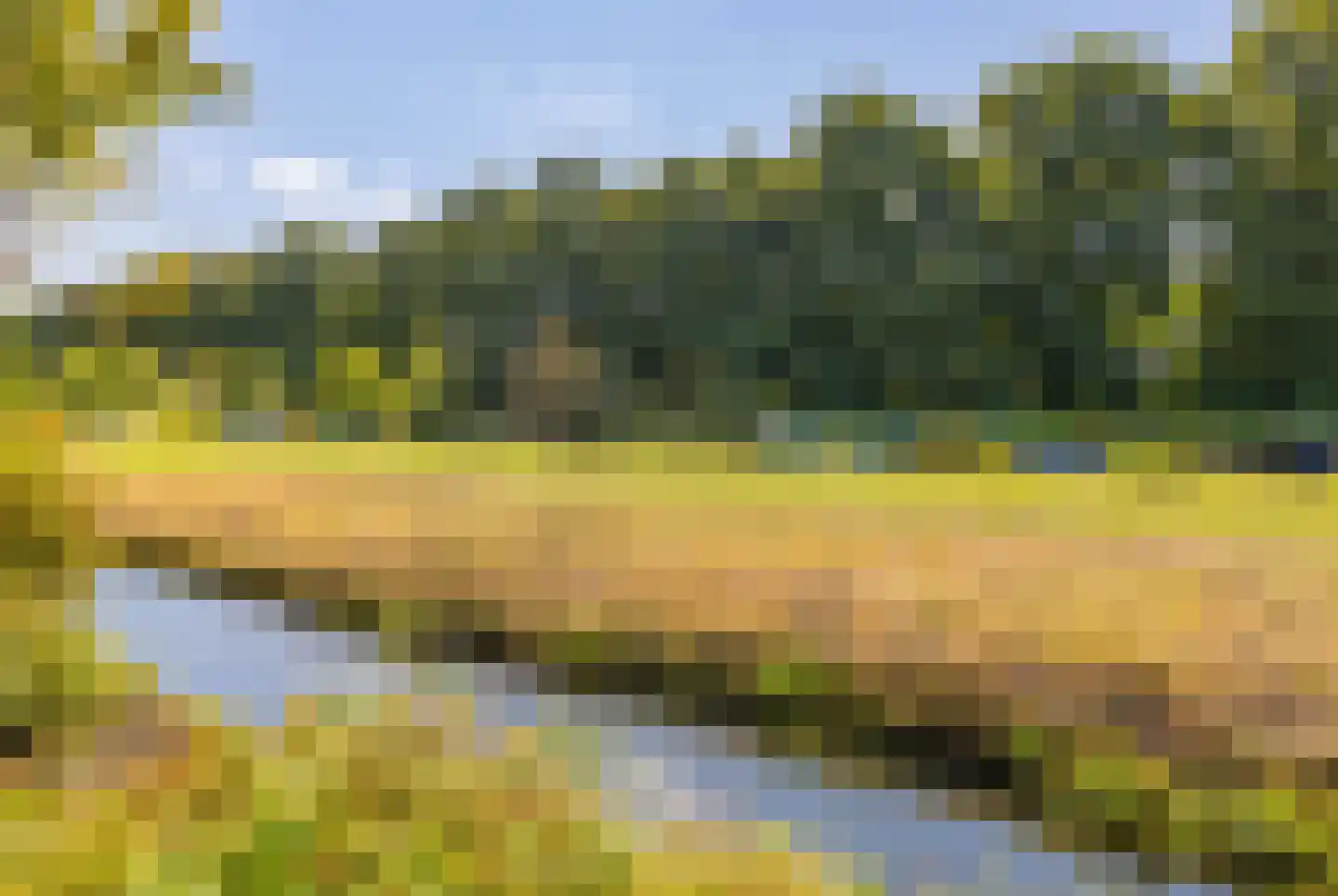 Noorderkroon 10 Lisse thumbnail 32