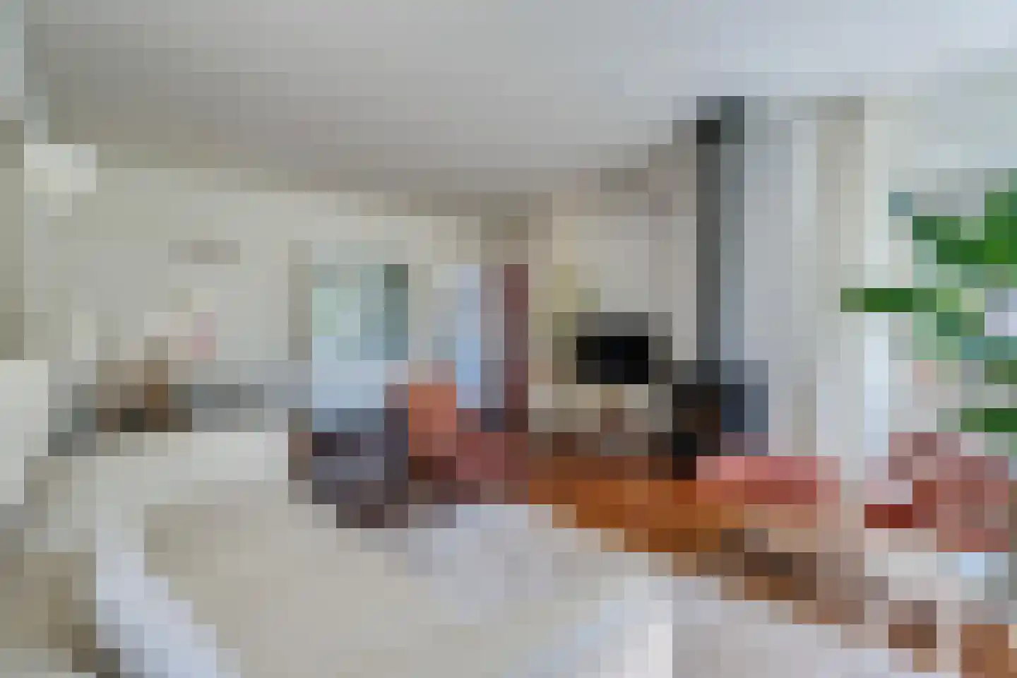 Noorderkroon 14 Roden thumbnail 10