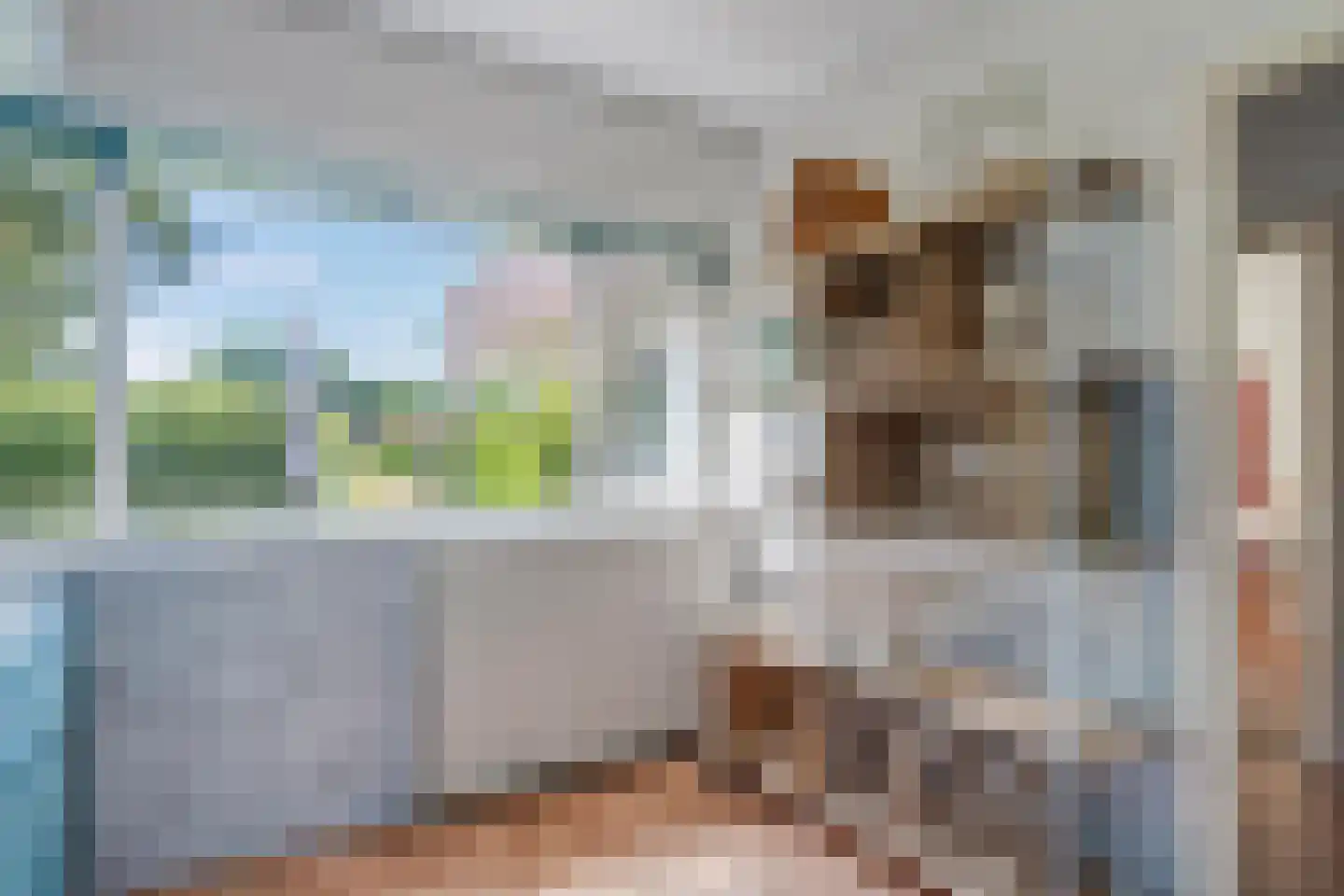 Noorderkroon 14 Roden thumbnail 12