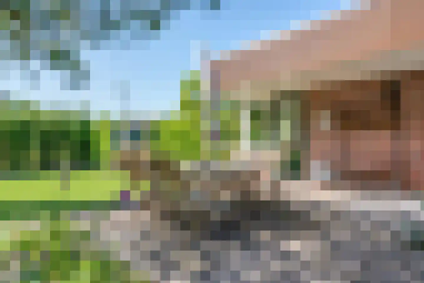 Noorderkroon 14 Roden thumbnail 18