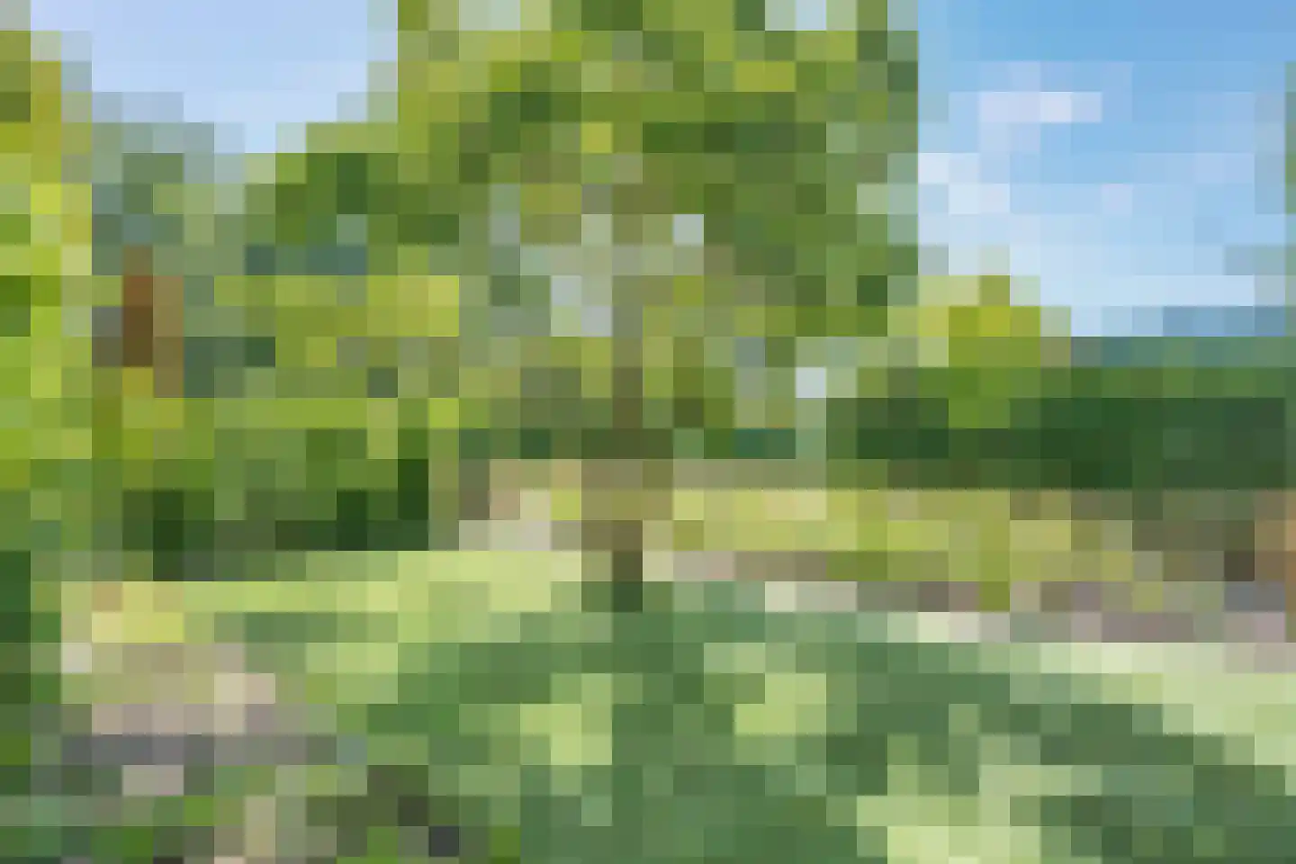 Noorderkroon 14 Roden thumbnail 19