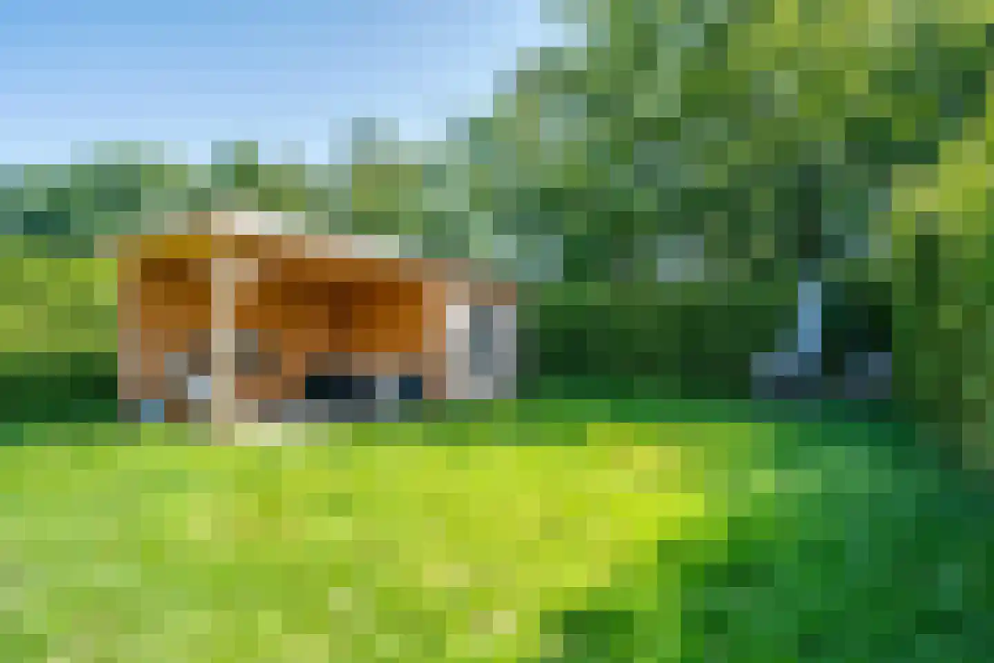 Noorderkroon 14 Roden thumbnail 20