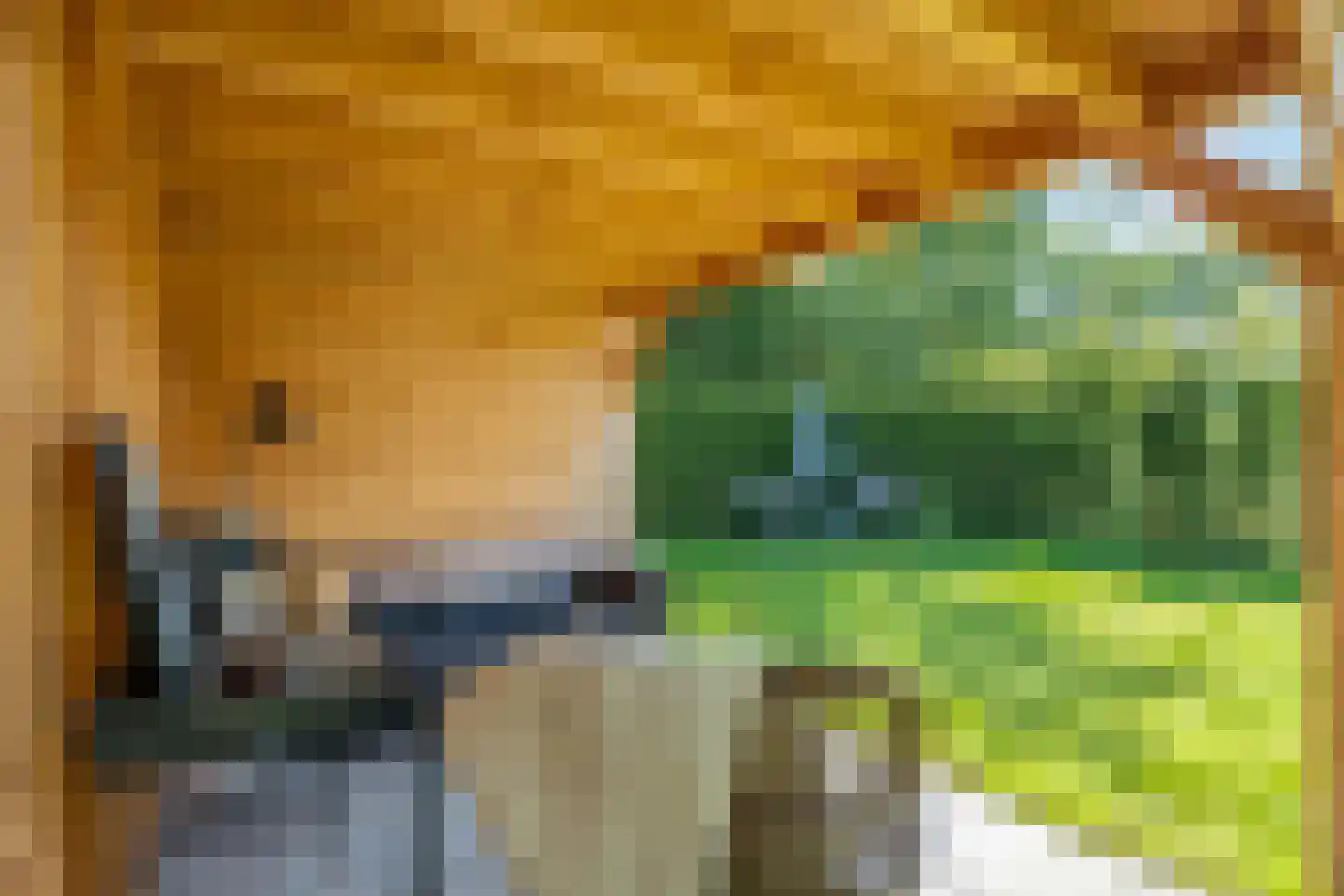 Noorderkroon 14 Roden thumbnail 21
