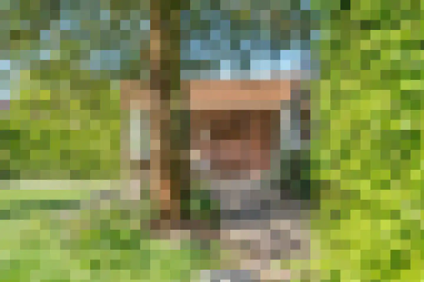 Noorderkroon 14 Roden thumbnail 22
