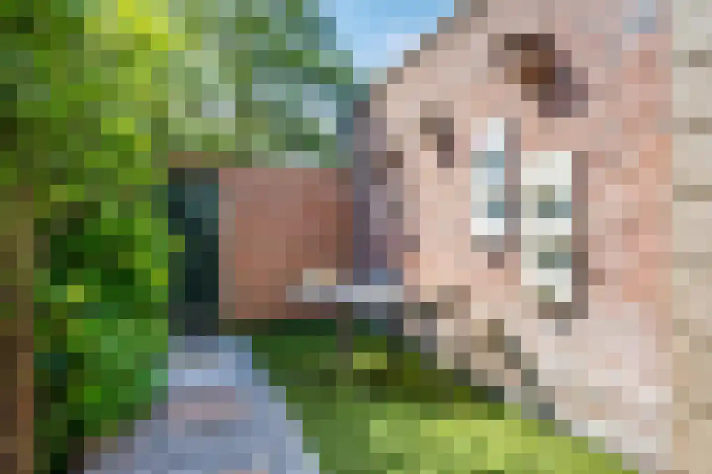 Noorderkroon 14 Roden thumbnail 27