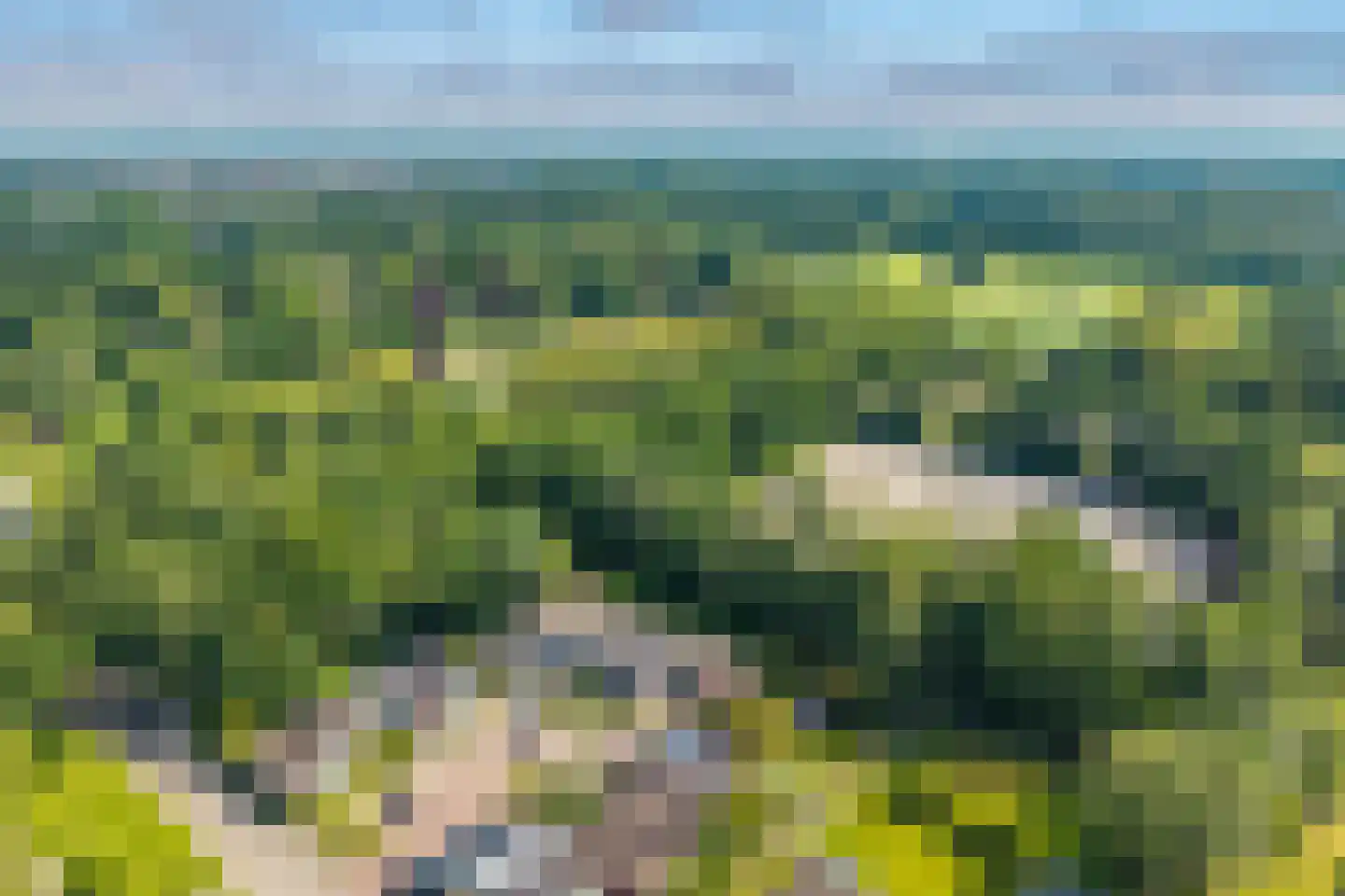 Noorderkroon 14 Roden thumbnail 29