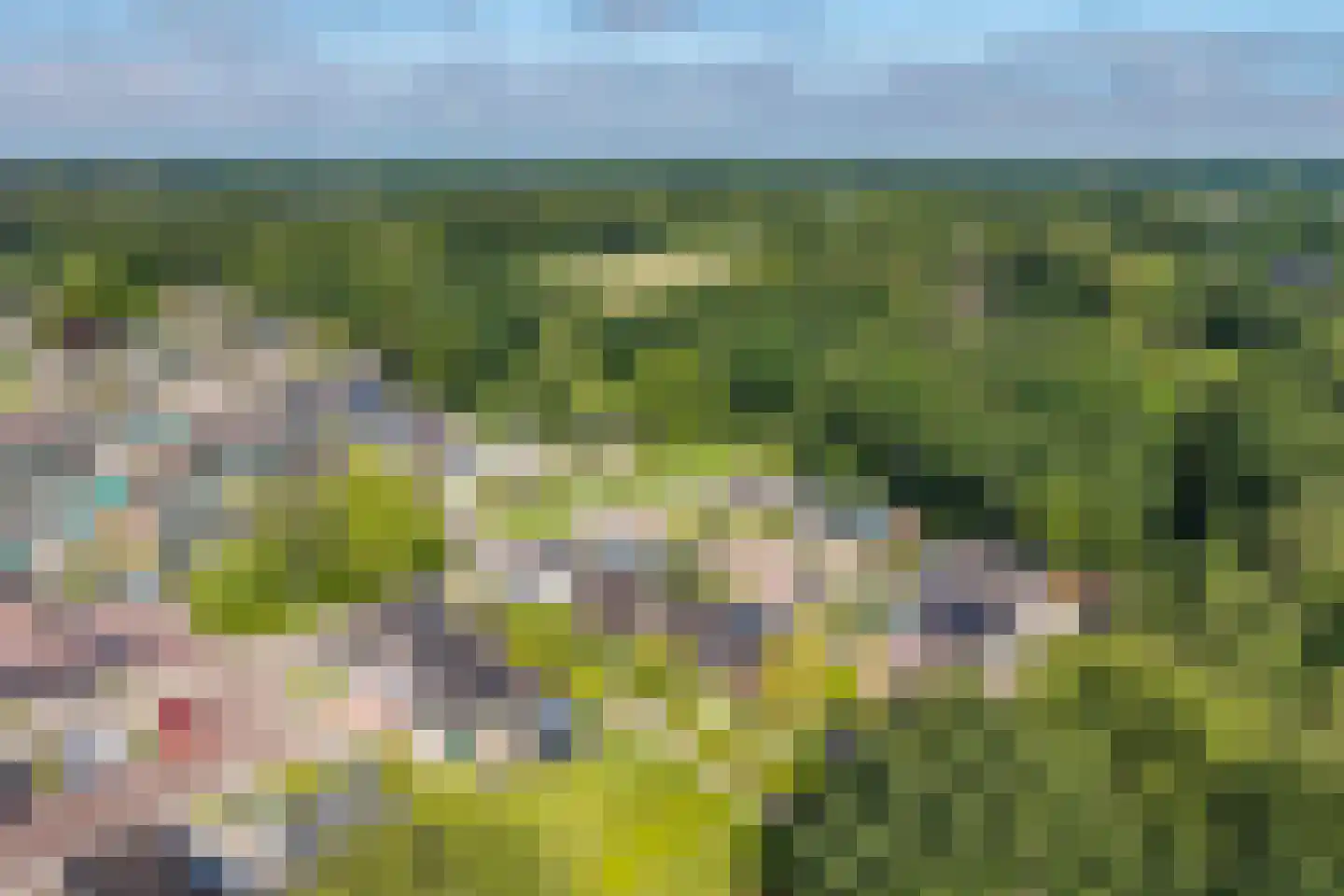 Noorderkroon 14 Roden thumbnail 30