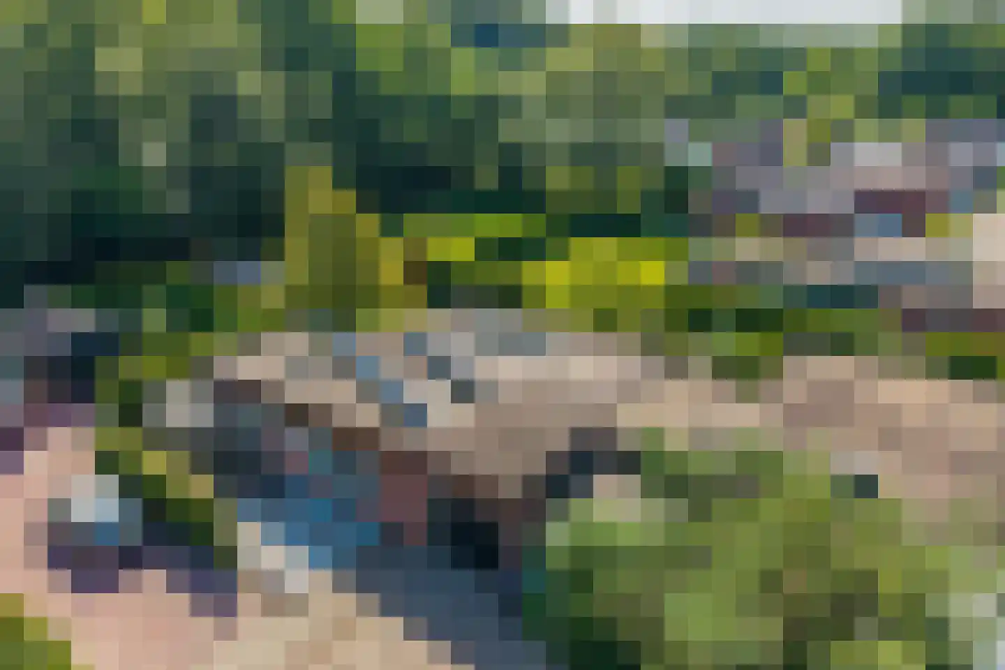 Noorderkroon 14 Roden thumbnail 31