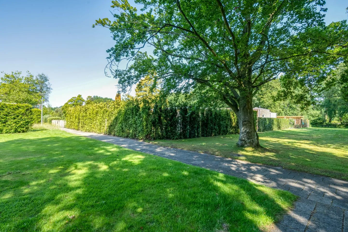 Noorderkroon 14 Roden thumbnail 4